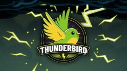 BIGSCrashThunderBird