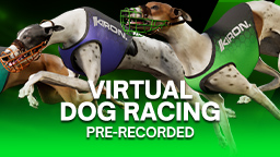 PreRecDogs